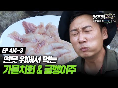 연못 위에서 먹는 <strong>가물치회</strong>&amp;amp;굼벵이주 #정주행_이어달리기