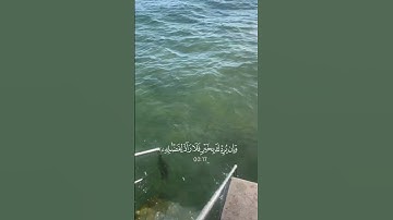 #اكسبلور #تلاوة_خاشعة #راحة_نفسية