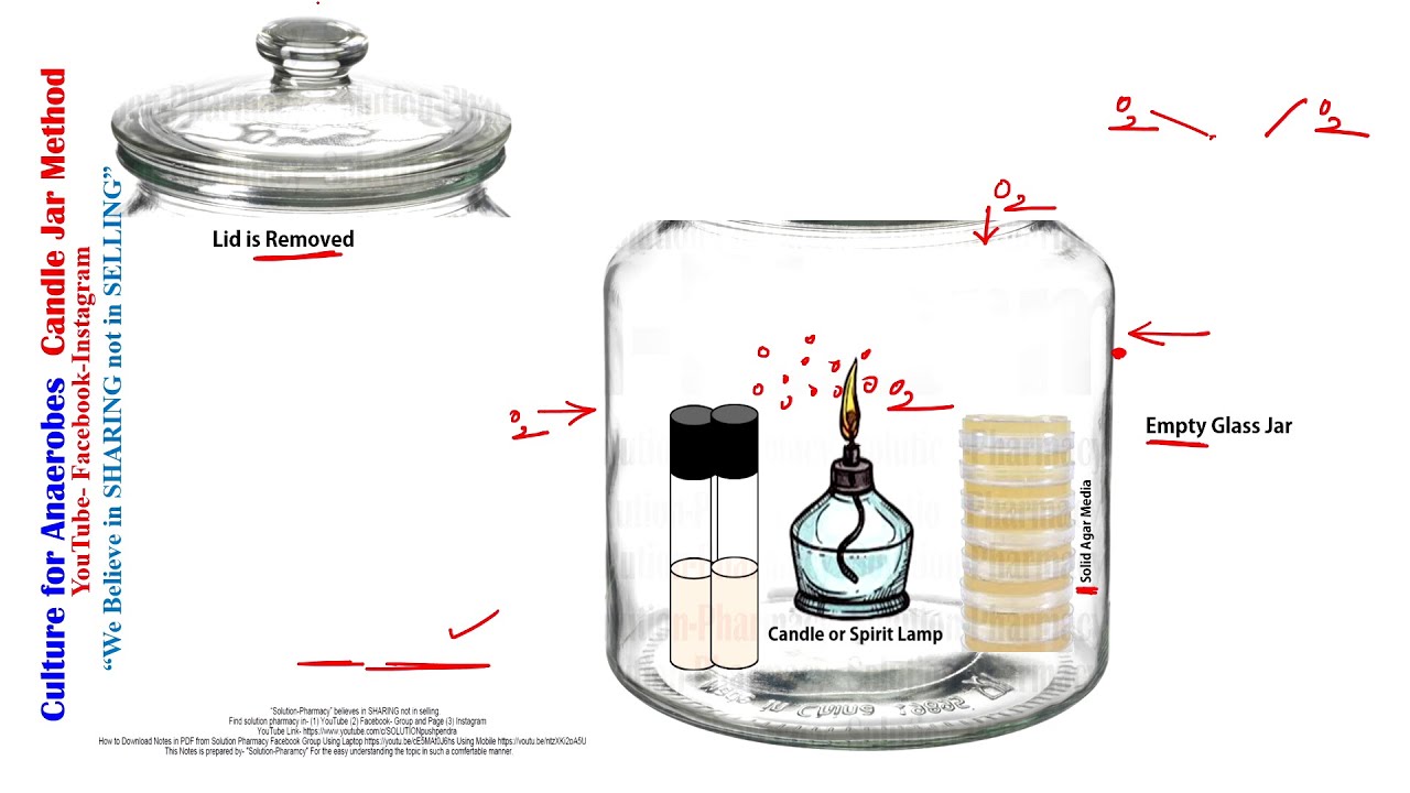 Candle Jar In Microbiology