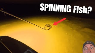 CRAZY! SPINNING FISH in Florida Keys {Catch Clean Cook}