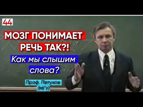 [44/55] Восприятие Речи | Как Мозг Понимает Слова? | Проф. Петухов (МГУ)