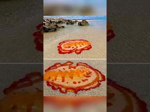 Rare Photos You Ve Never Seen Before Part 79 