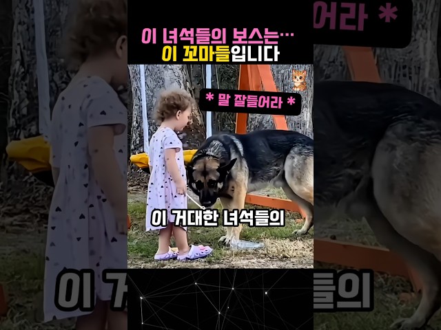 맹견도 휘어잡는 미래의 '강형욱"이 될 꼬마들#강아지 #댕댕이 #dogs