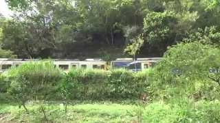 1041017平溪支線DR1000型冷氣柴油客車穿梭山林之間