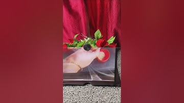 take screenshot of Qr code and search bar on meesho @Meesho #reels