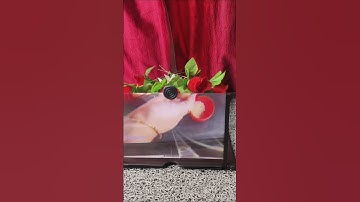 take screenshot of Qr code and search bar on meesho @Meesho #reels