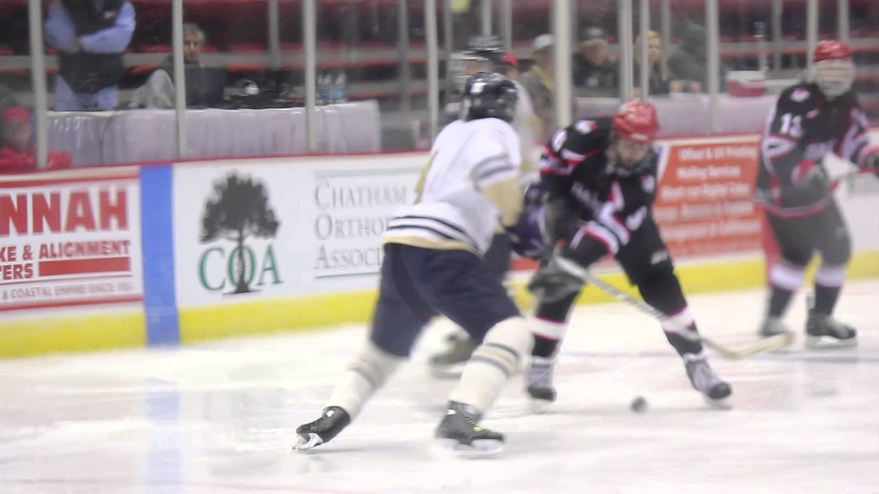 Savannah Tire Hockey Classic 2013 UGA vs. Tech YouTube