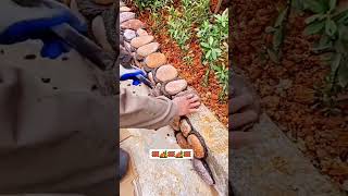 Download Lagu Batu kali ekspose, semakin memperindah pemandangan taman anda, dan menambah kesan alamiah. MP3