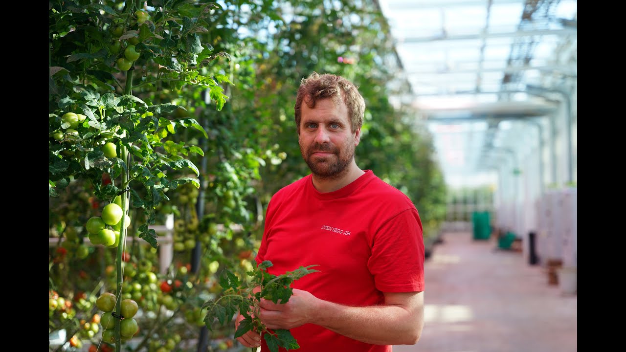 Reference interview about Flexi-Grow greenhouse toplights with Partik ...