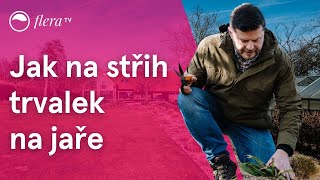 Střih trvalek na jaře | Praktická videa | Flera TV