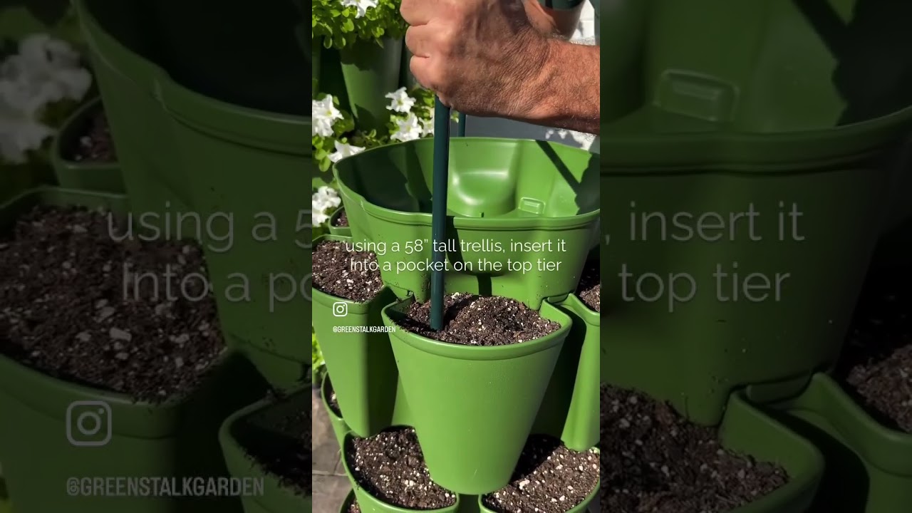 Add an arched trellis to your GreenStalks!