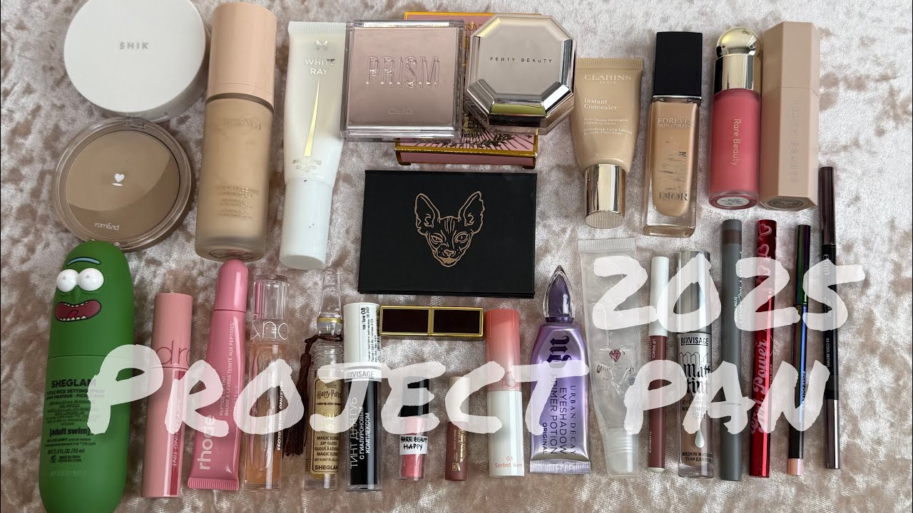 PROJECT PAN 2025 | добить до дна 29 средств 🙌🏻