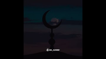سورة الملك | القارئ هاني الرفاعي