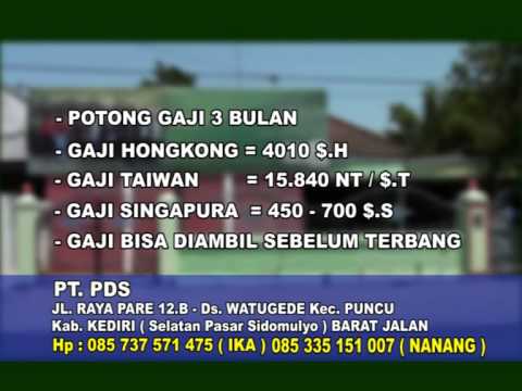 PT.Prima Duta Sejati PT.Prima Duta Sejati