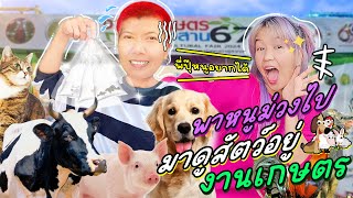 Daily Vlog Ep2(จบ) พาหนูม่วงไปเดินงานเกษตรดูโซนสัตว์เลี้ยงที่เมื่อวานพี่ปุ๊บิด (มีคนงอแงแล้วหนึ่ง)