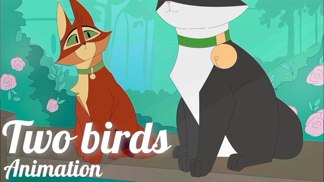 Two birds warrior cats animation | warriors cats | animation meme [ Warriors MAP ] 