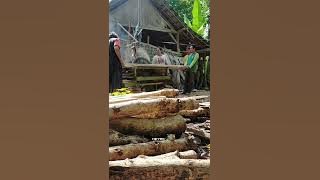 Bismillahirrahmanirrahim Jum'at Berkah Barokah - HENTIKAN TANGISMU - Fendik Adella - Henny Adella