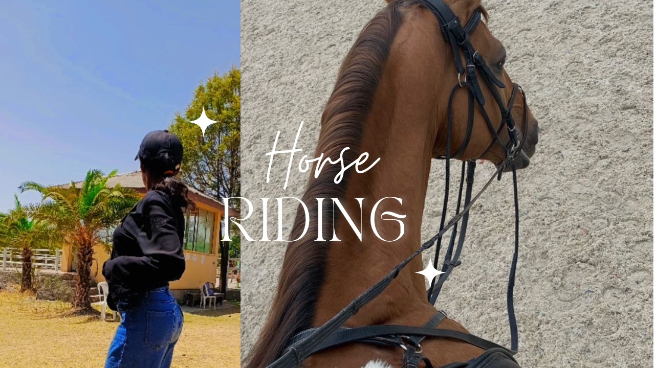 Let's try horse riding 🐎 🏝