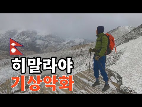 여기서 포기할 것인가 강행할 것인가 | 안나푸르나 서킷 6일차 [네팔 EP.8]🇳🇵