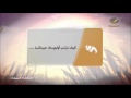 برنامج النظارة البيضاء مع الداعية