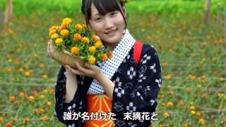 紅花哀歌 (歌)清水雄大