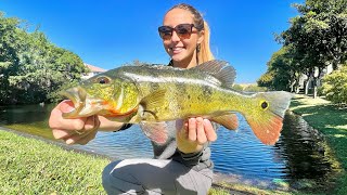 Sneaky Backyard Fishing for Florida's Most EXOTIC Aggressive Fish!