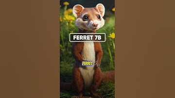 Ferret: Apple