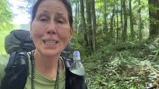 Day 61 on the AT. Trail magic, interview and snake encounter. #appalachiantrailthruhike2024 #hiking