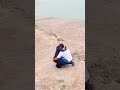 Олимпийская чемпионка Израиля Линой Ашрам объявила о помолвке со своим бойфрендом. #ЛинойАшрам