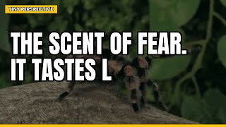 The scent of fear. It tastes like blood.