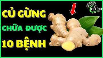 Tin Vui: 10 Lợi Ích Của Củ Gừng Chữa Được 10 Căn Bệnh Thường Gặp Nhất- kênh sức khoẻ bổ ích