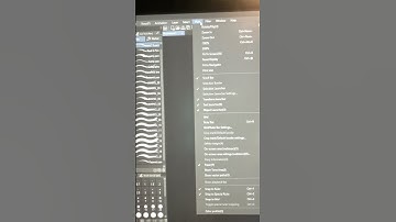 Ruler outside the canvas CSP #shorts @Shadow_the_alleycat