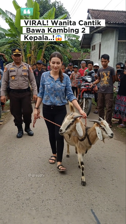 Heboh! Wanita cantik ini muncul di jalan membawa kambing berkepala dua! #kambing #shorts #viral #fyp