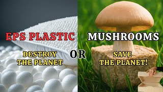 Amazing Eco-Friendly Production Process | Natural Mushroom Packaging vs EPS