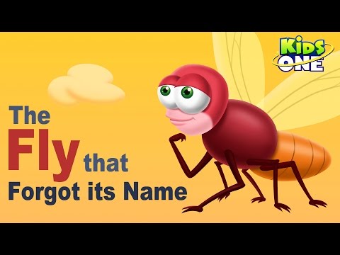 The Fly that Forgot It's Name | Funny Short Story For Kids - KidsOne