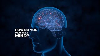 2025 snapshot of what science actually knows about consciousness