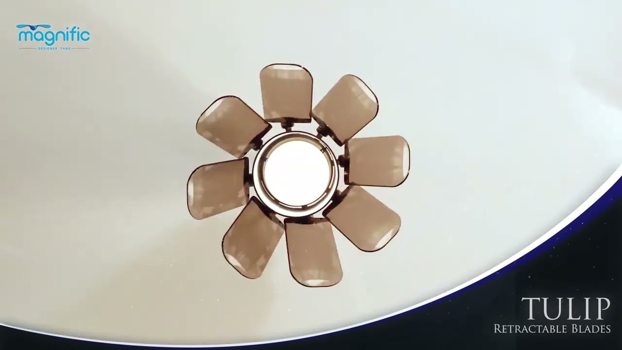 Elevate with Tulip: Luxurious Magnific Designer Fans | Folding Blades | Decorative Fan With Lights