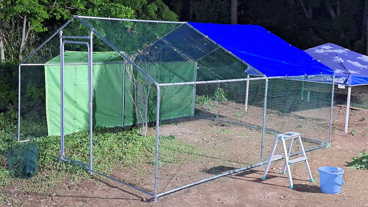 ほんの少しだけ配信🤤大型鶏小屋ほぼ完成しました👏🎉✨😆✨🎊】 - YouTube