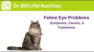 Feline Eye Problems | Symptoms & Causes | Dr. Bill's Pet Nutrition | The Vet Is In
