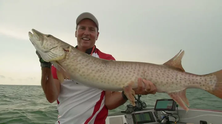 A Musky Dozen
