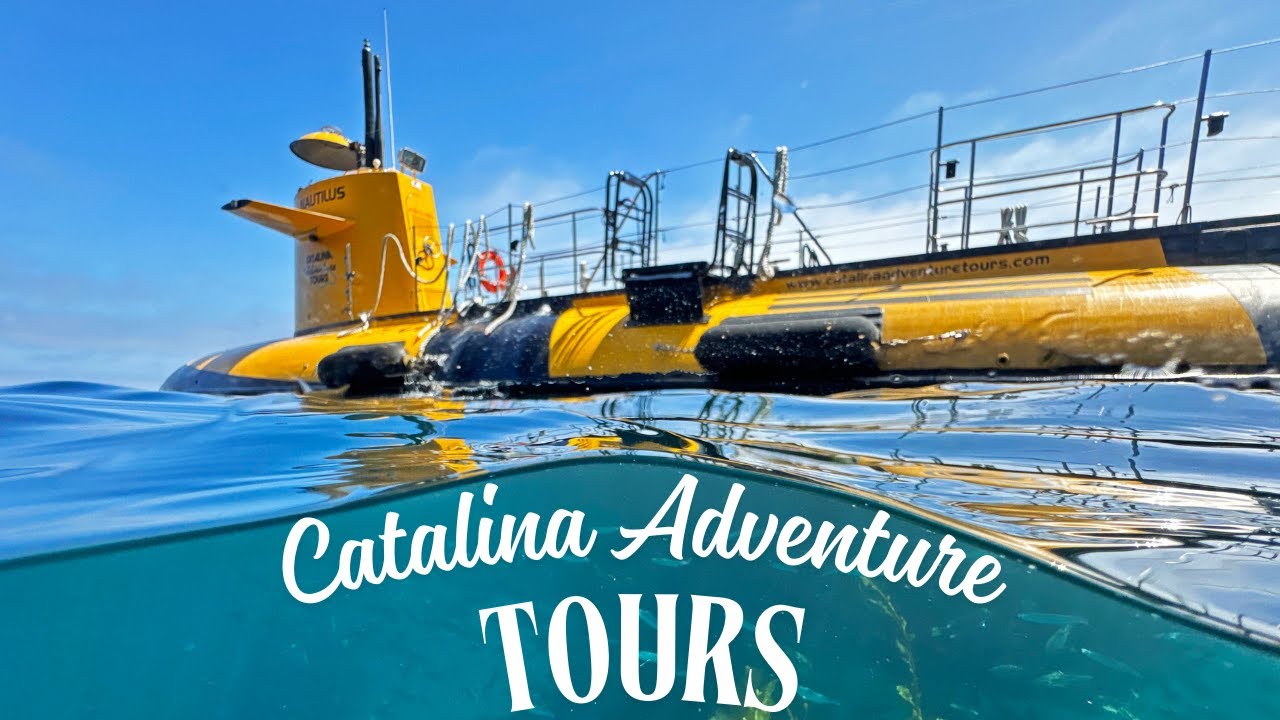 Explore Catalina Island: Semi-Submarine & Eco Adventure Tour | Best Things to Do in Avalon!