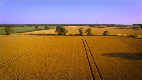 إن الله وملائكته يصلون على النبي - القارئ صلاح بو خاطر 🤲🕌