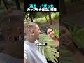 過去一バズった ! ? カップルの面白い瞬間 TOP6
