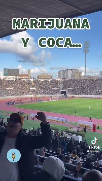 Raja Casablanca amazing chant  “Somos curva Sud #football #rajacasablanca #viral #amazing #shorts