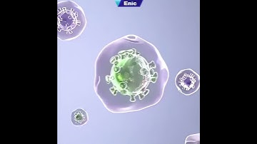 BỒN CẦU THÔNG MINH TỰ ĐỘNG HÓA MỌI THỨ CÓ TỒN TẠI KHÔNG?