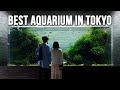 Tokyo&#39;s Incredible Designer Aquarium