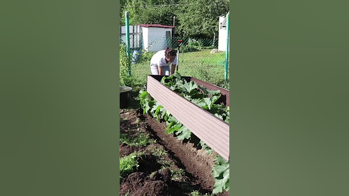 Грядка под кабачки #shorts ольга зотова