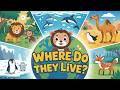 Where Do They Live? | Animal Habitats Song for Kids | Learn About Animal Homes and Nature Sounds