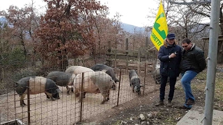 Bengodi del 24 gennaio 2017Parte1
