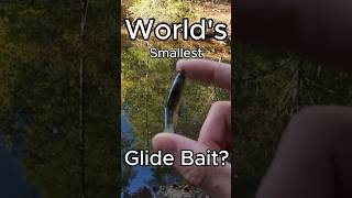 The World's Smallest Glide Bait?  #bassfishing #fishing #bass #shorts
